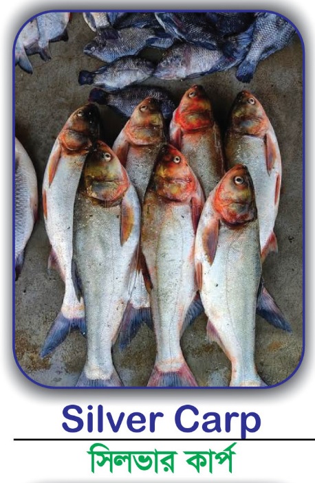 Natural  | Prevents  | Suitable  | 500g