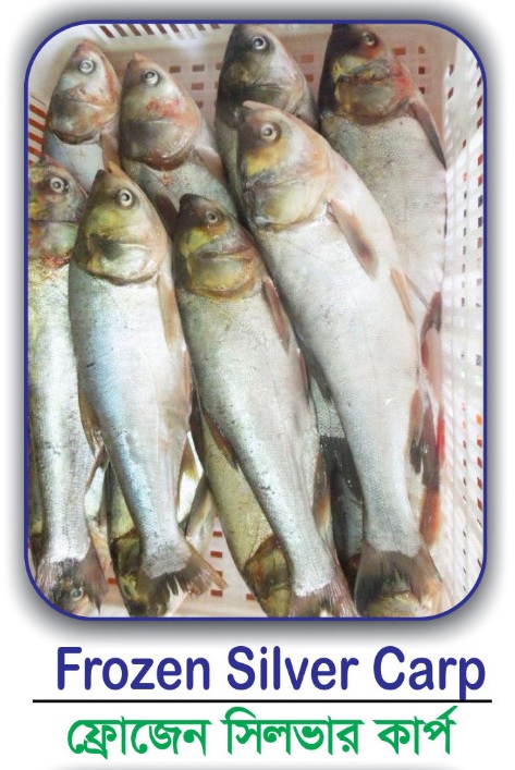 Natural  | 1000g