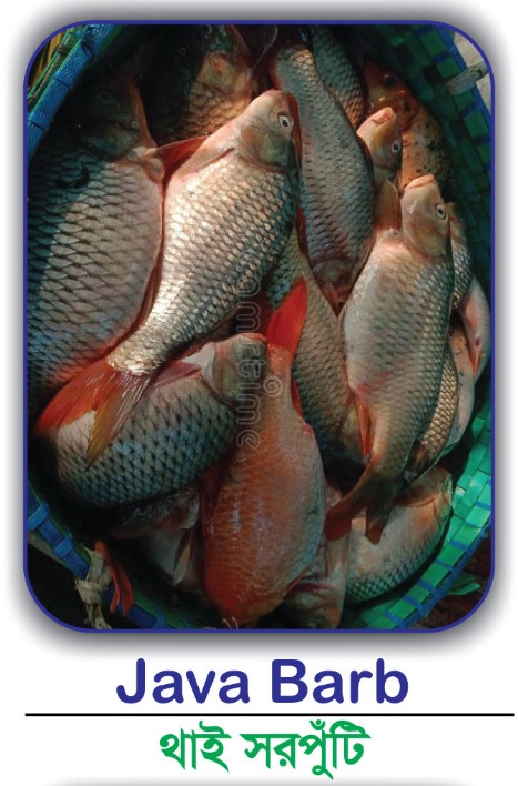 500g