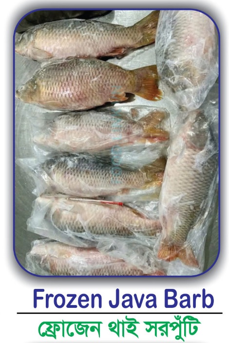 500g